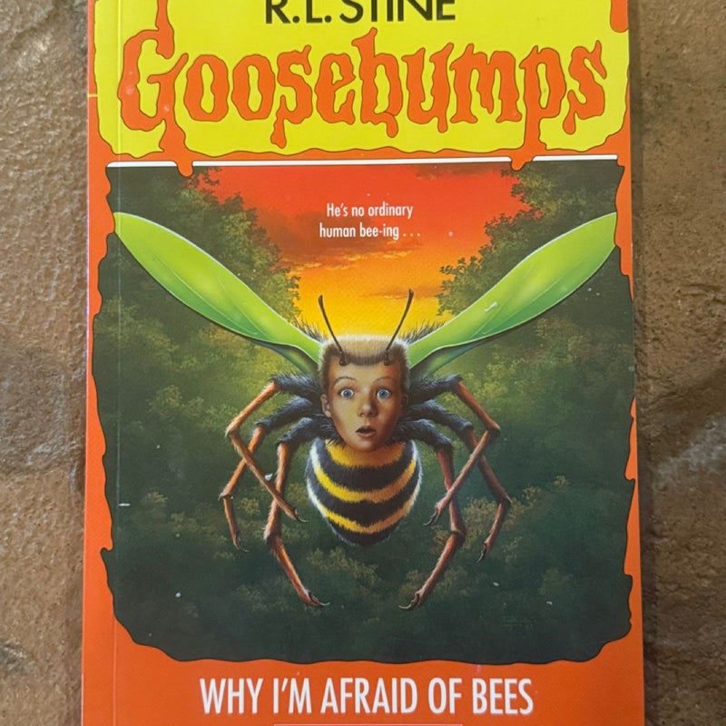 Why I'm Afraid of Bees