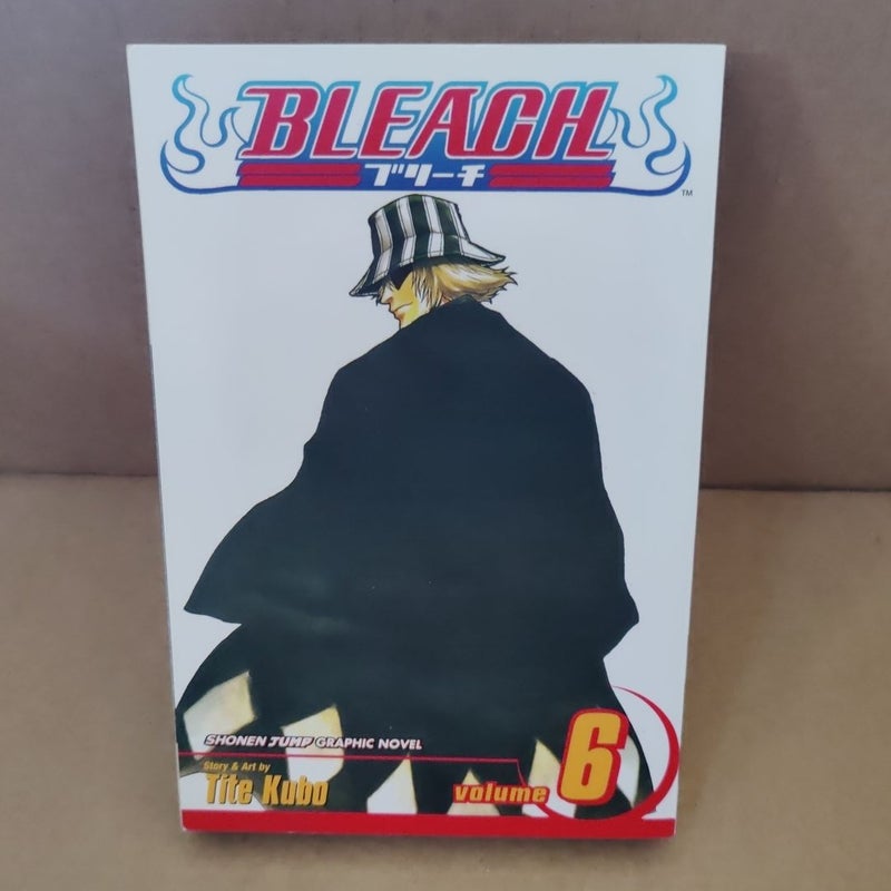 Bleach, Volume 22 by Tite Kubo