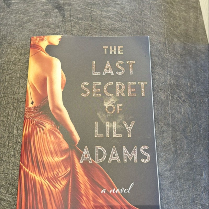 The Last Secret of Lily Adams