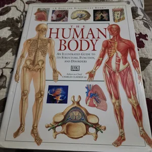 Illustrated Guide to the Human Body