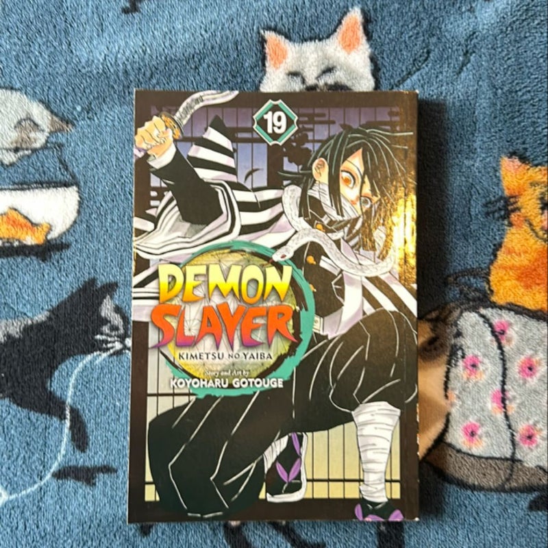 Demon Slayer: Kimetsu No Yaiba, Vol. 19