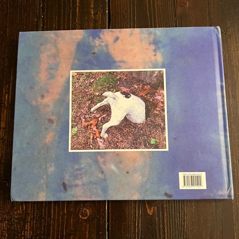 The Art of Noticing