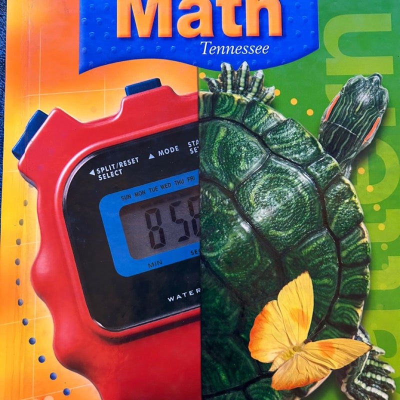 Mathmatics Level 4: Houghton Mifflin Mathmatics Tennessee