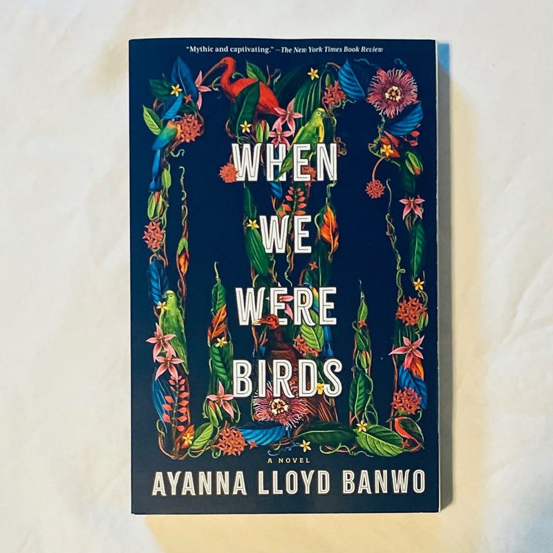 When We Were Birds