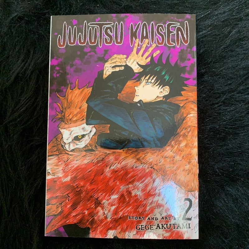 Jujutsu Kaisen, Vol. 2 by Gege Akutami, Paperback