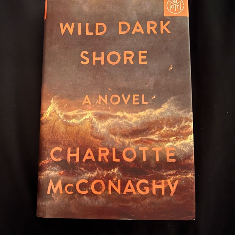 Wild Dark Shore
