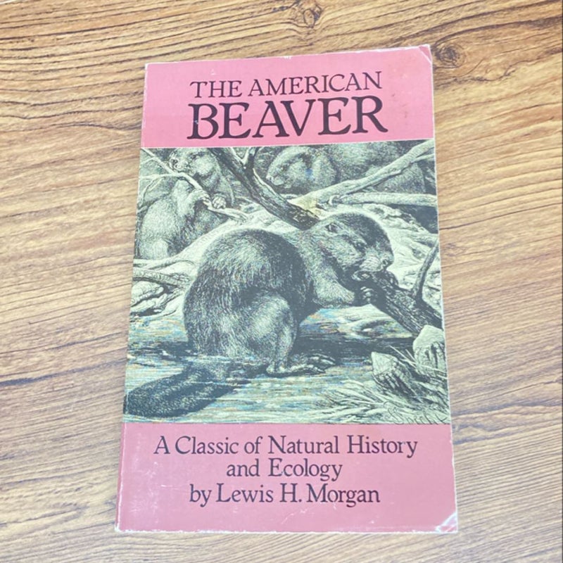 The American Beaver
