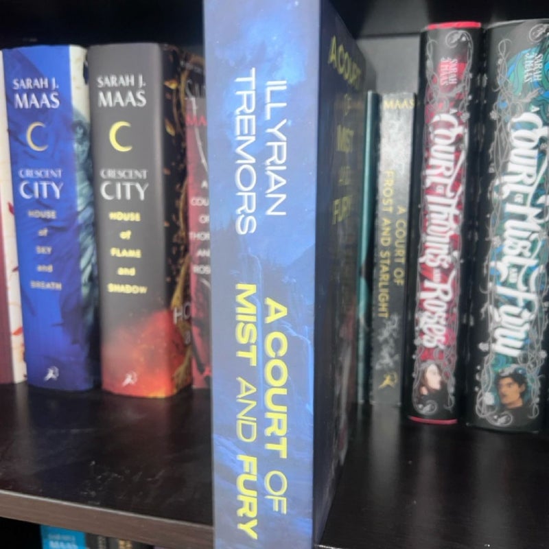 ACOMAF Rhys POV