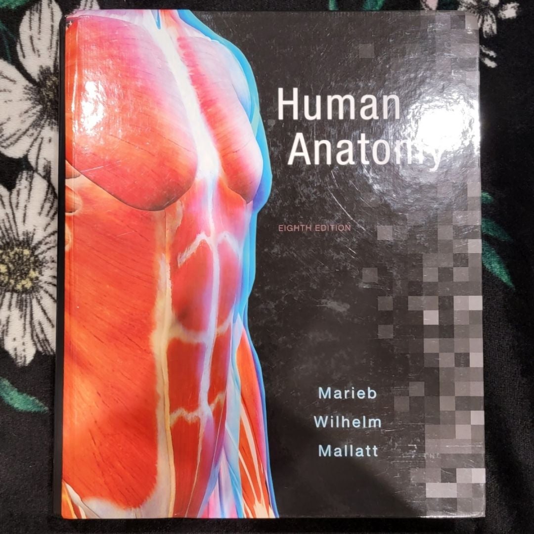 Human Anatomy