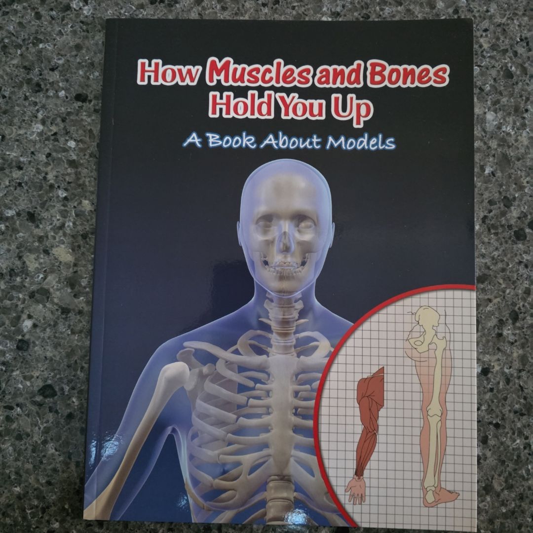 How Muscles and Bones Hold You Up