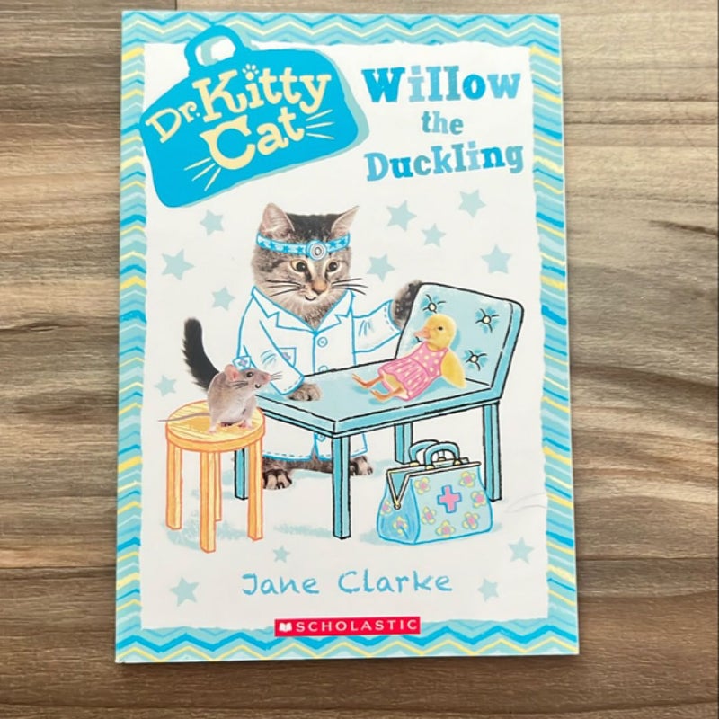 Willow the Duckling (Dr. KittyCat #4)