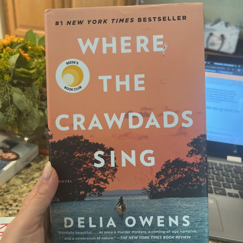 Where the Crawdads Sing