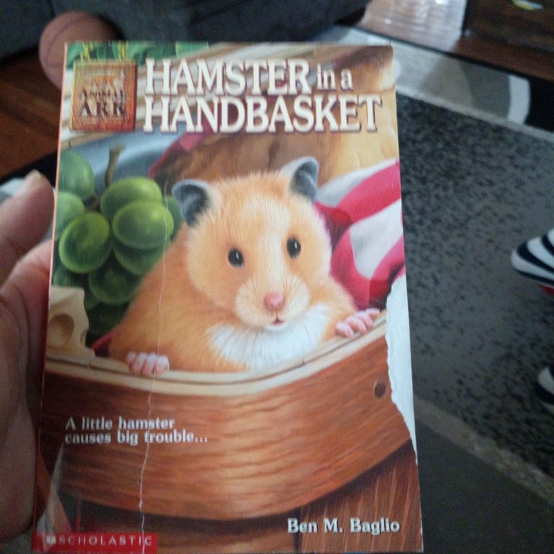 Hamster in a Handbasket