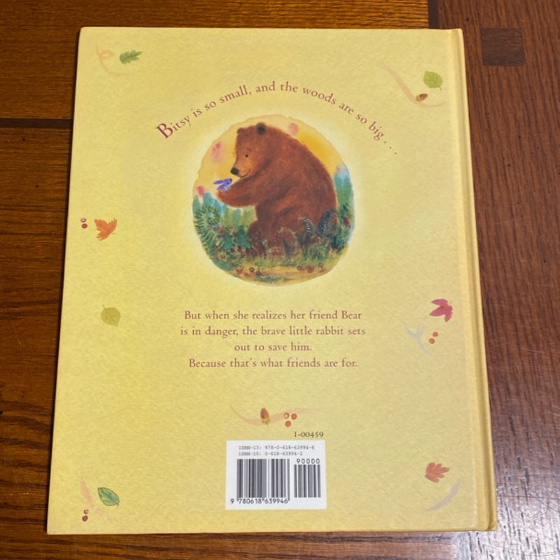 Brave Bitsy and the Bear