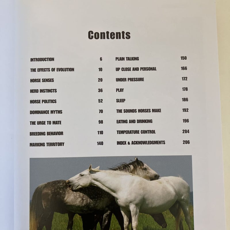 Horse and Pony Body Language Phrasebook