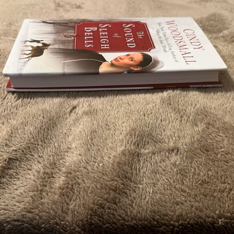 The Sound of Sleigh Bells