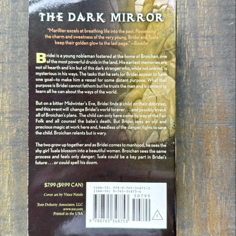 The Dark Mirror