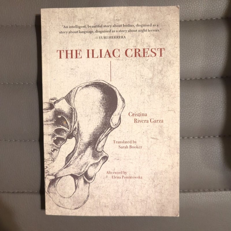 The Iliac Crest