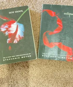 New moon and eclipse