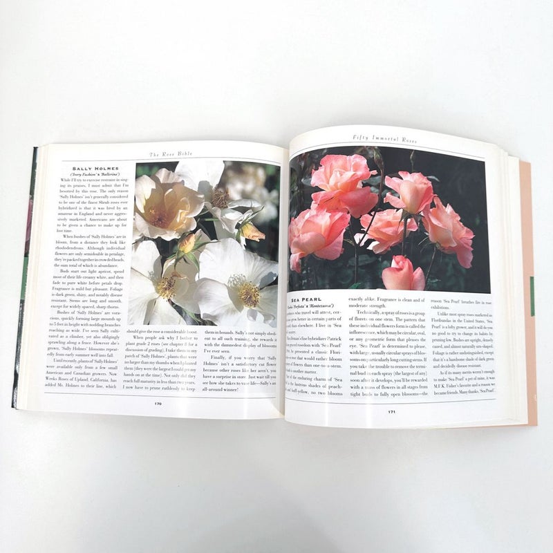 Rose Bible