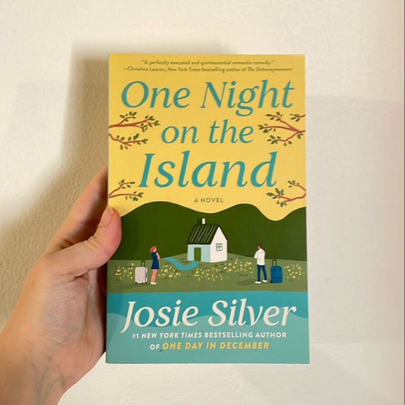 One Night on the Island