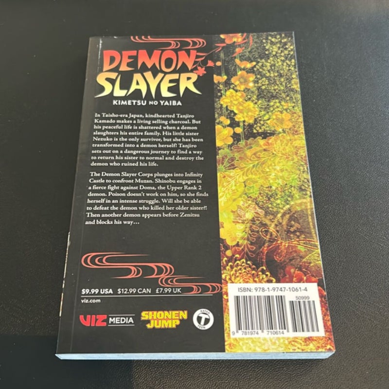Demon Slayer: Kimetsu No Yaiba, Vol. 17
