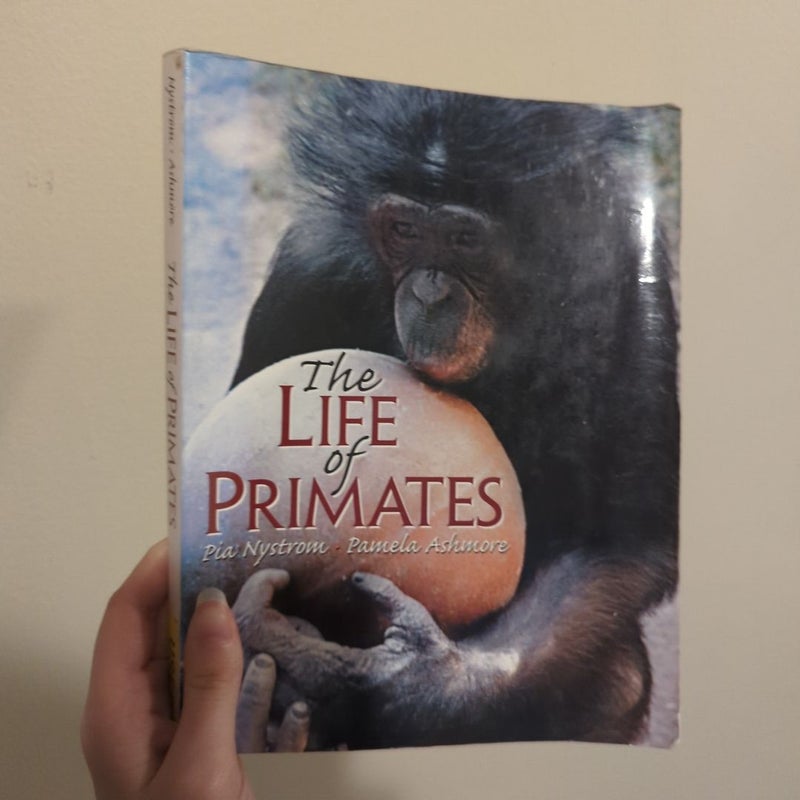 The Life of Primates