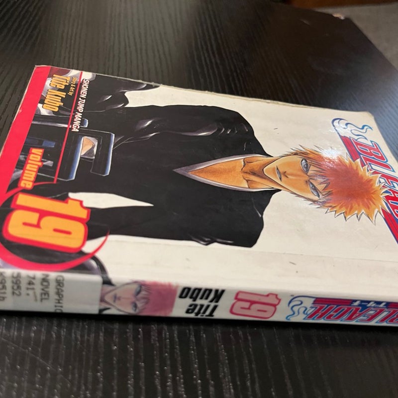 BLEACH Manga Volume 19