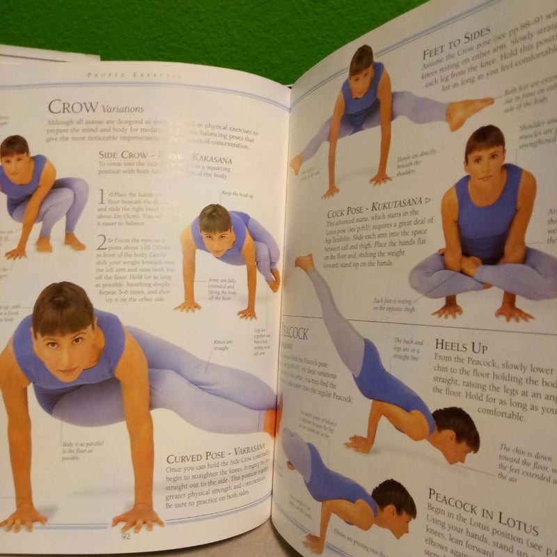 Yoga Mind and Body