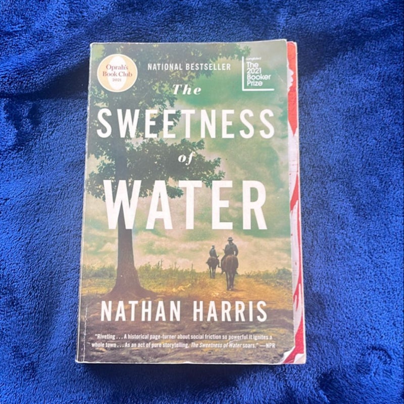 The Sweetness of Water (Oprah's Book Club)