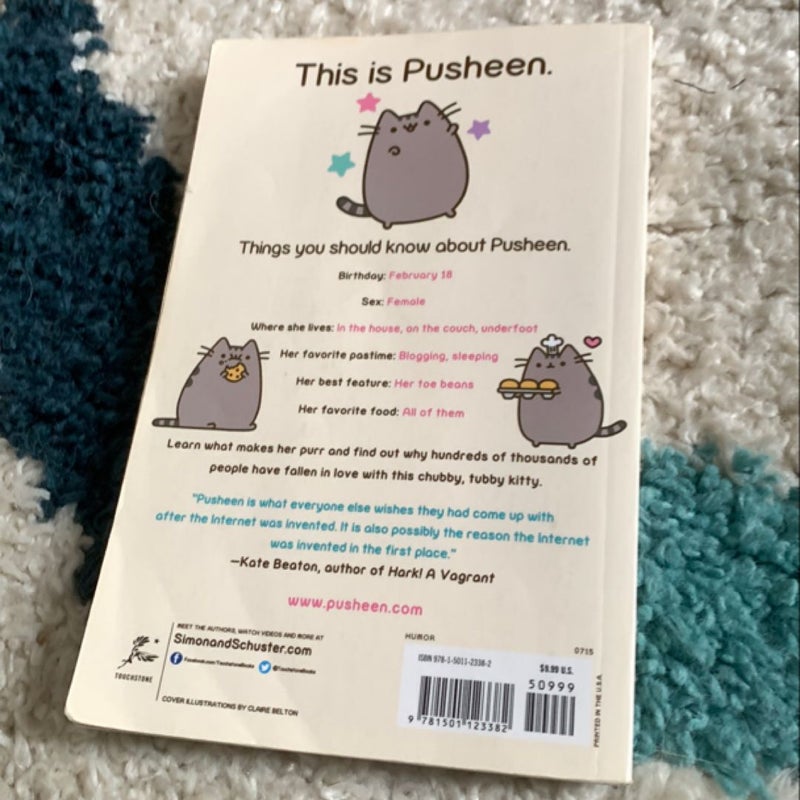 I am pusheen the cat