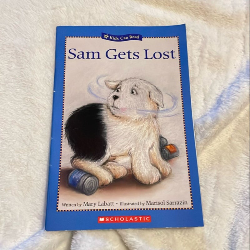 Sam Gets Lost