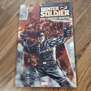 Winter Soldier - Volume 1