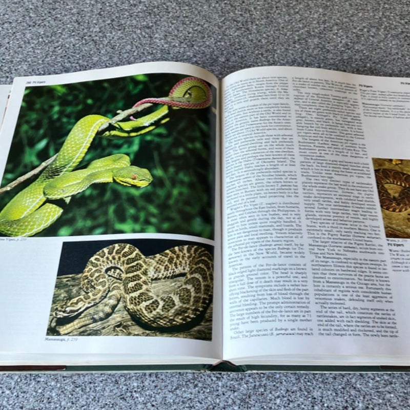 Audubon Society