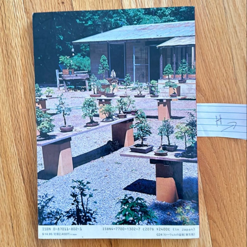 The Beginner's Guide to American Bonsai