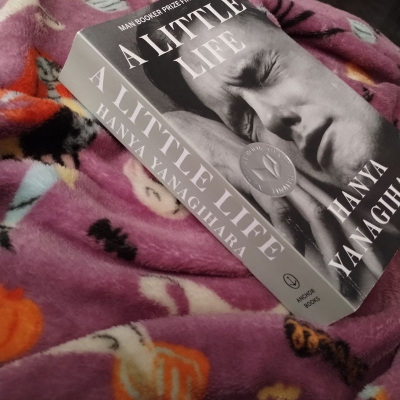 A Little Life