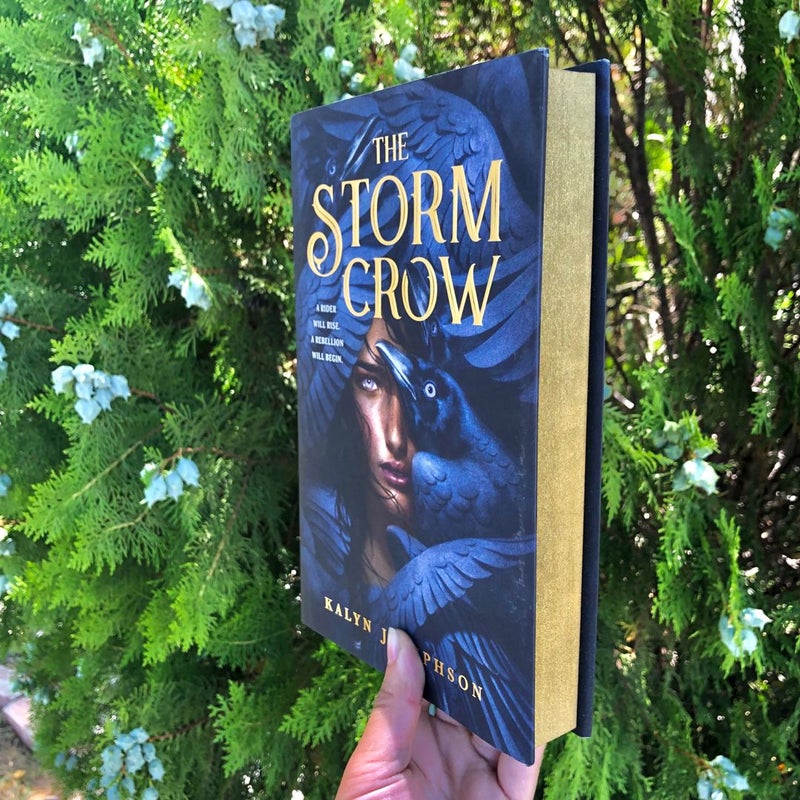 Customized The Storm Crow