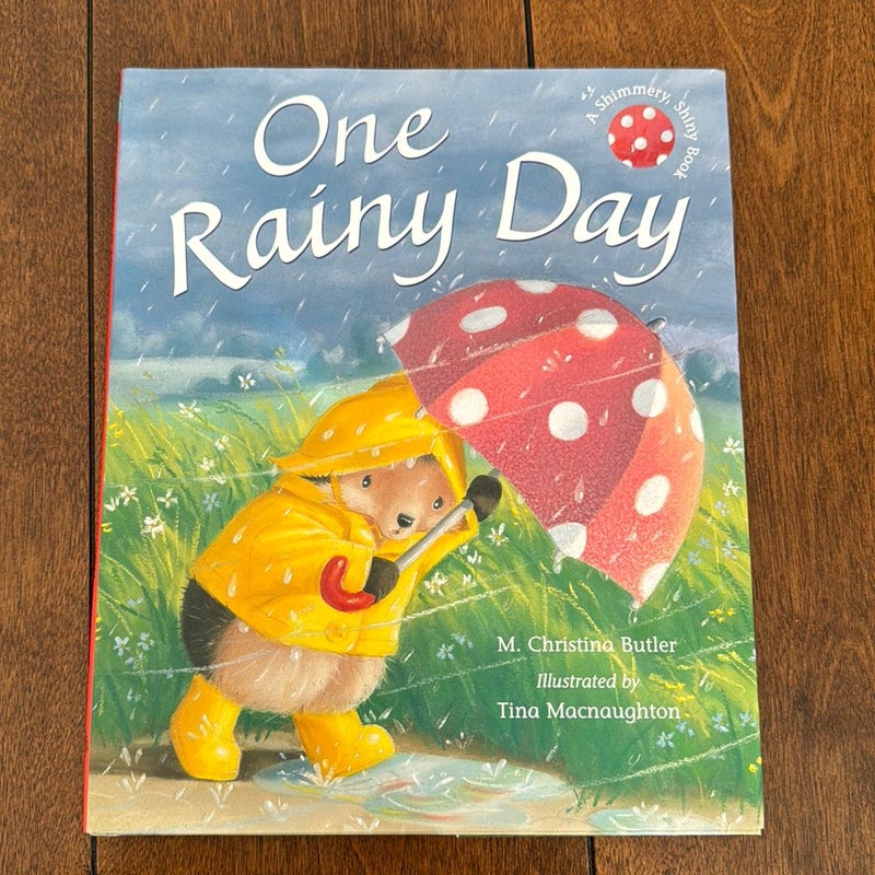 One Rainy Day