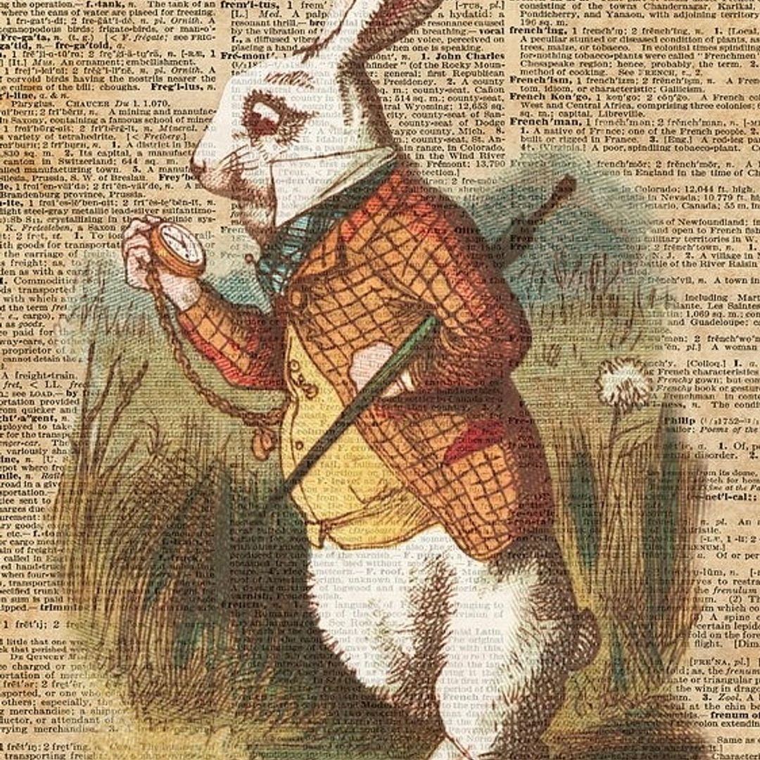 Bibliophiles Rabbit Hole