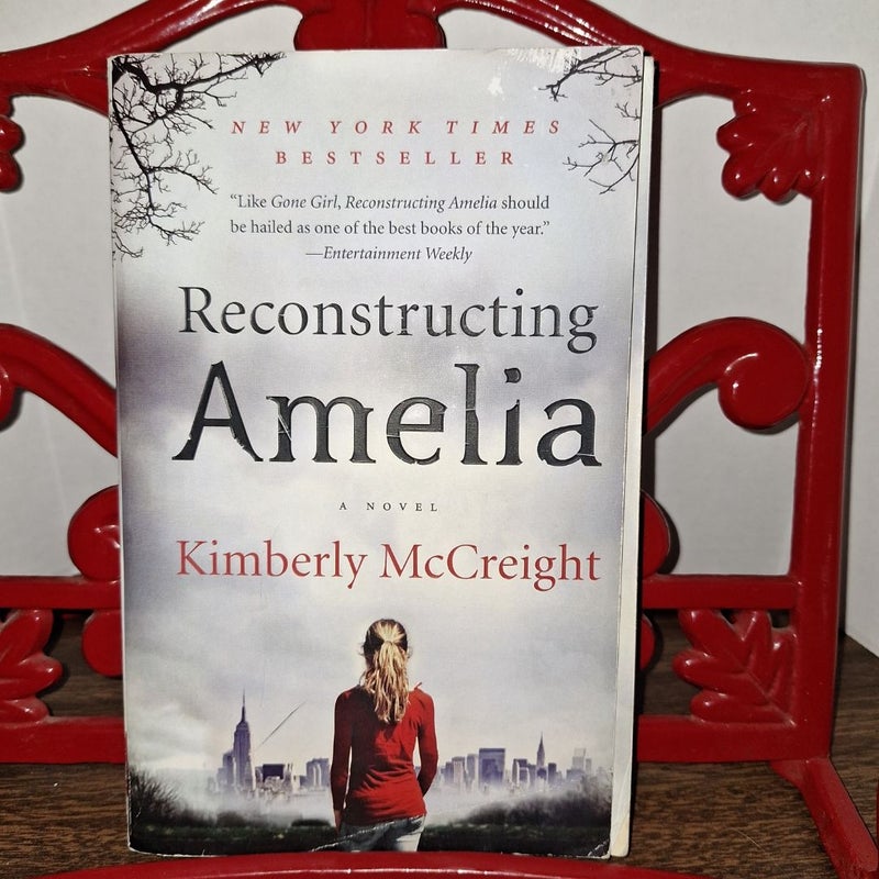 Reconstructing Amelia