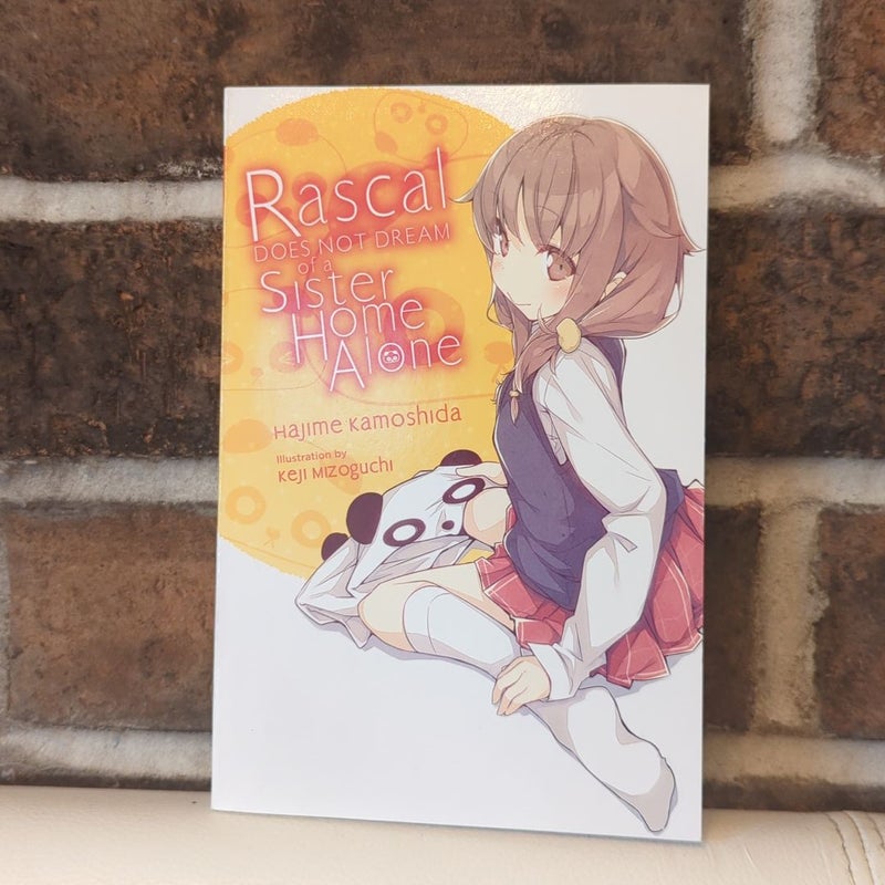 Rascal Does Not Dream of a Sister Home Alone (light Novel)