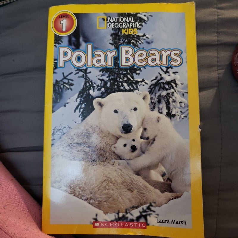 Polar Bears