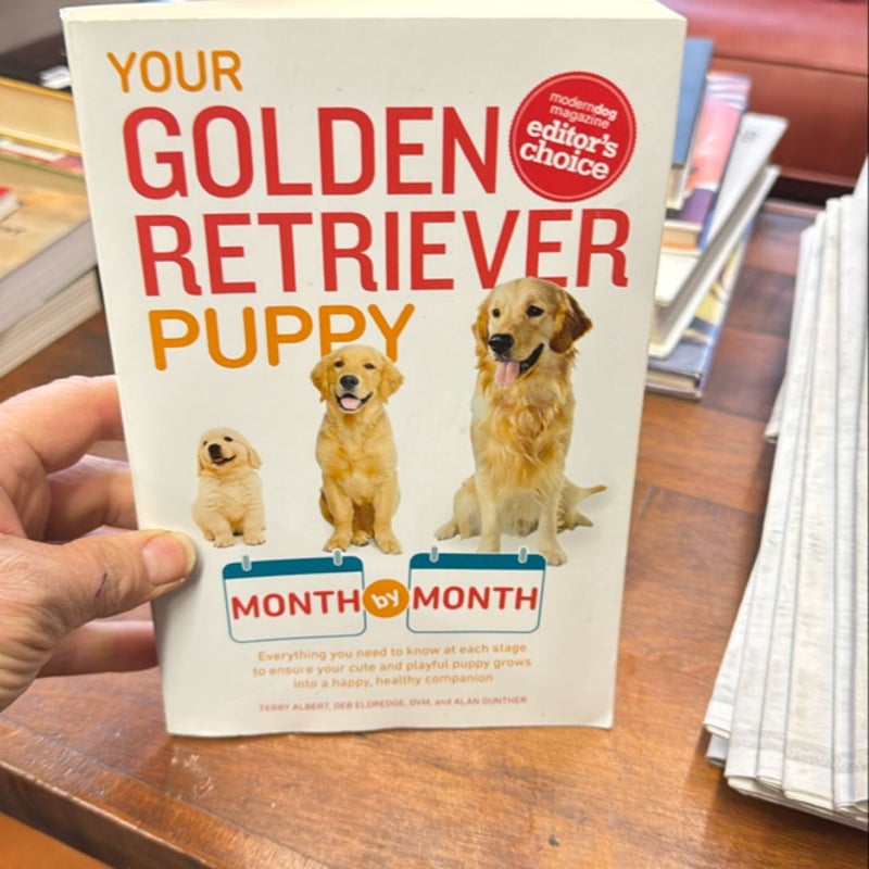 Your Golden Retriever Puppy Month by Month