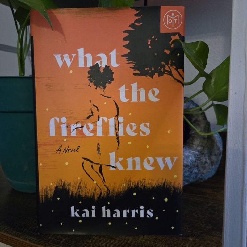 What the Fireflies Knew