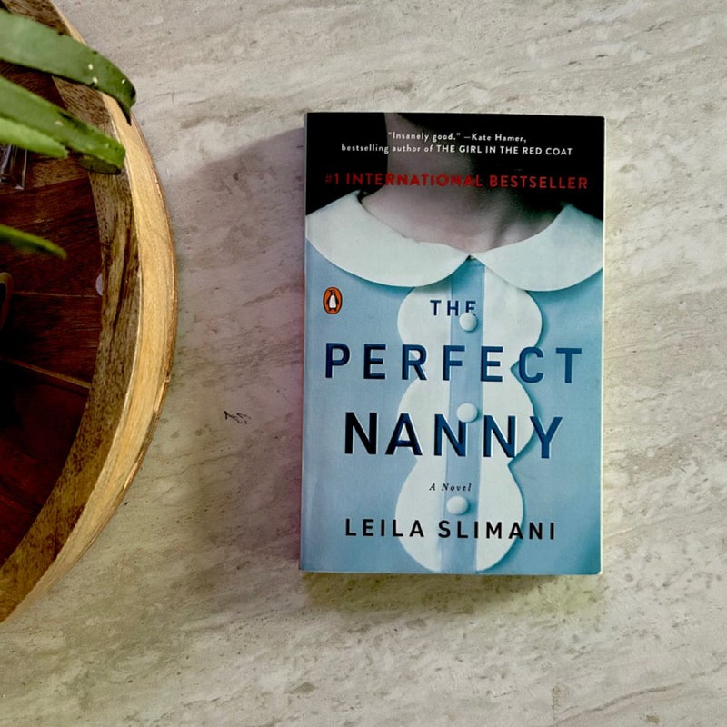 The Perfect Nanny