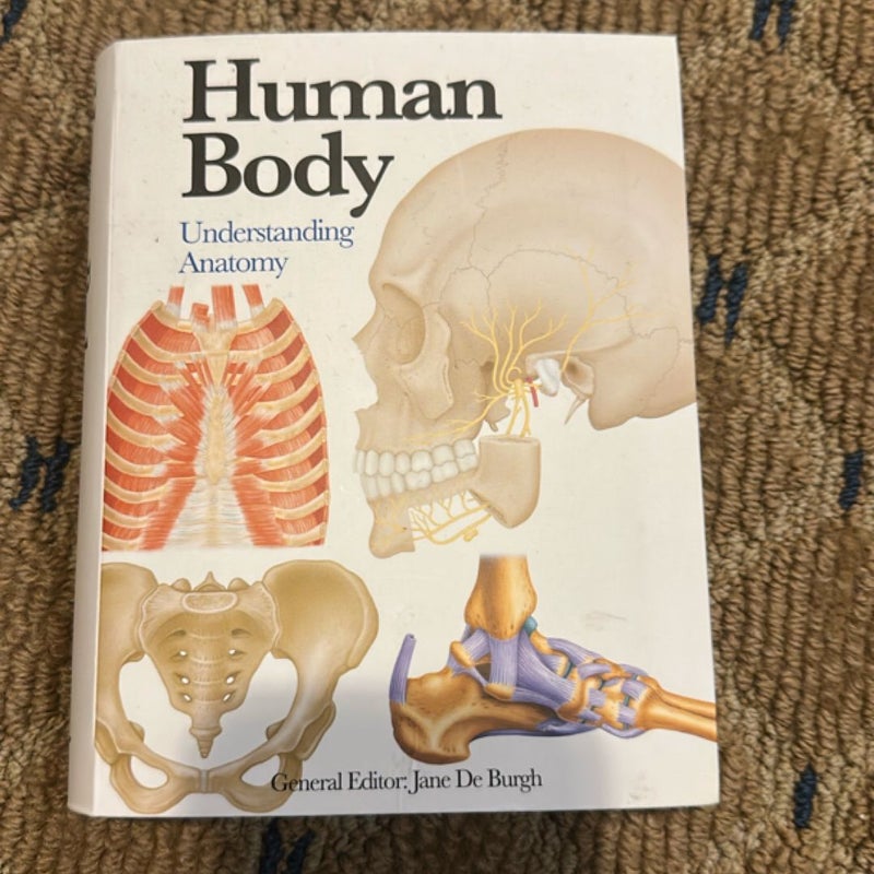 Human Body