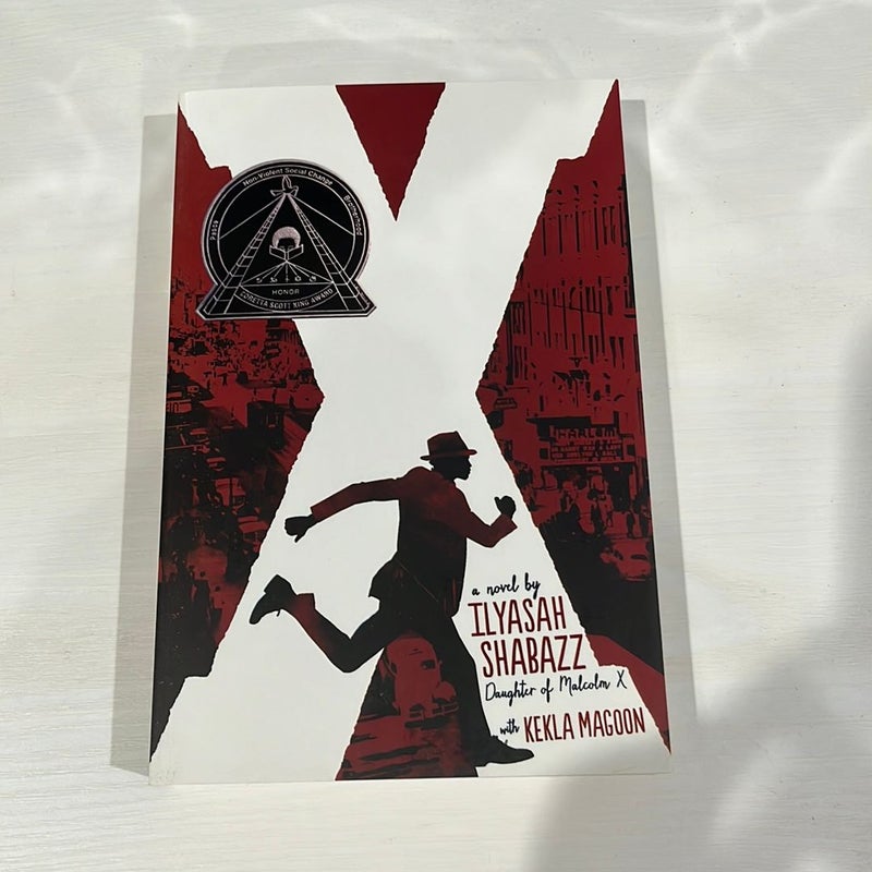 X: a Novel