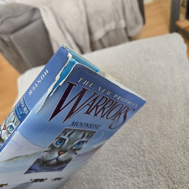 Warriors: The New Prophecy #2: Moonrise