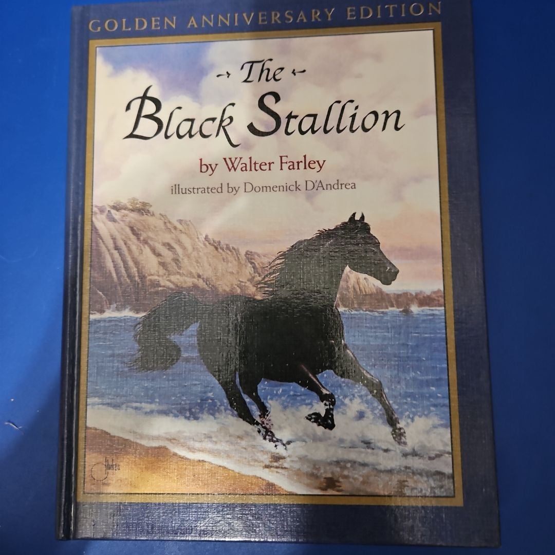 The Black Stallion