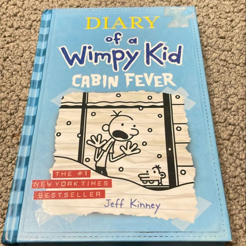 Diary of a Wimpy Kid # 6